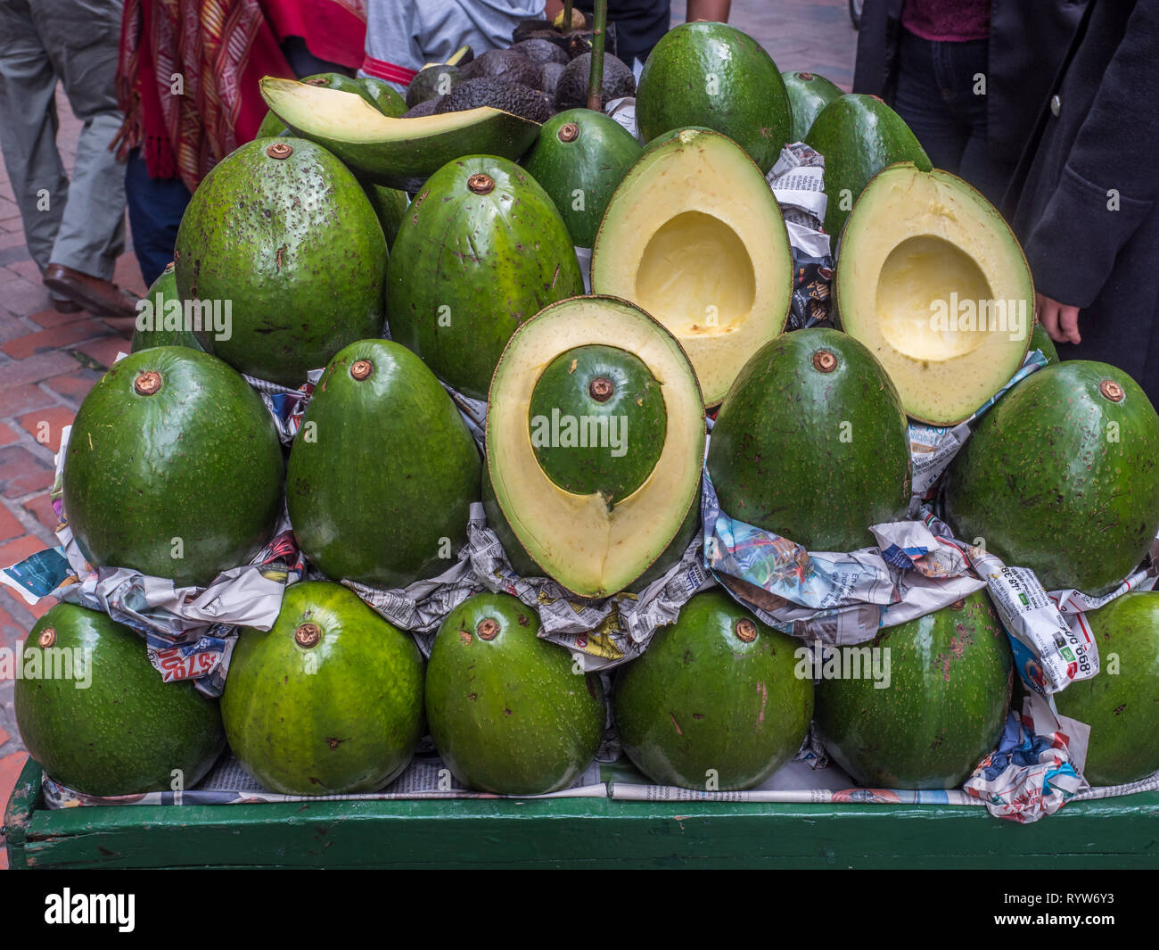 L'avocat énorme dans la rue de Bogota. La Colombie. L'Amérique latine Banque D'Images
