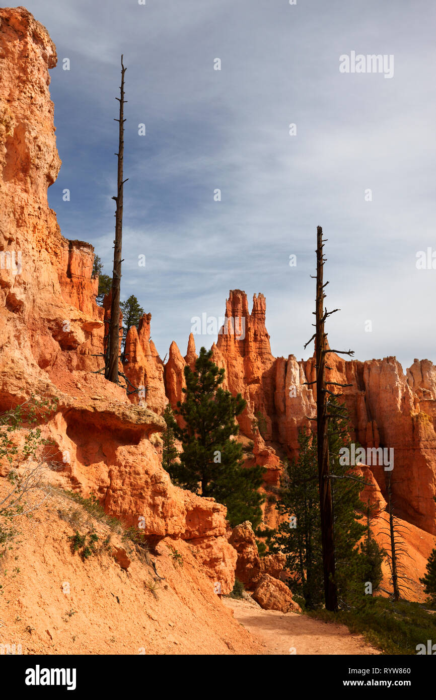 Bryce National Park, Utah, USA. Banque D'Images