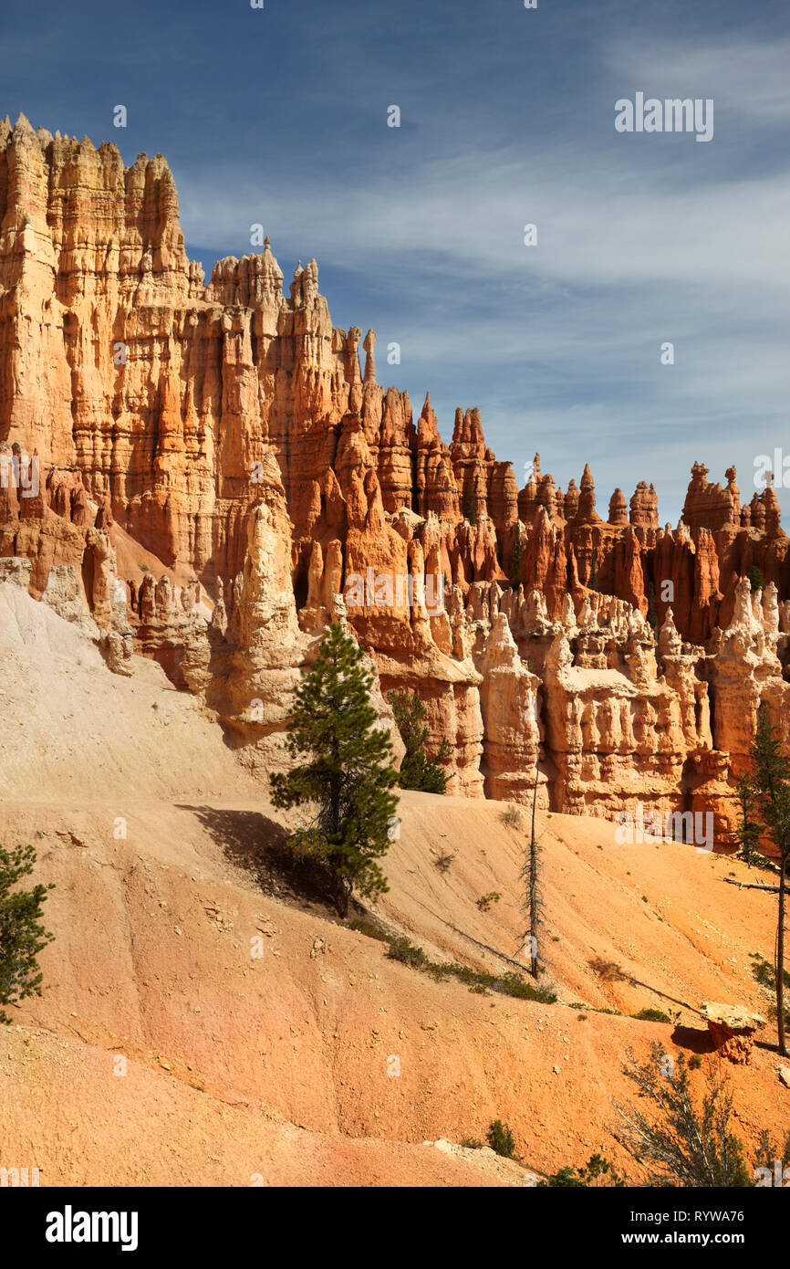 Bryce National Park, Utah, USA. Banque D'Images