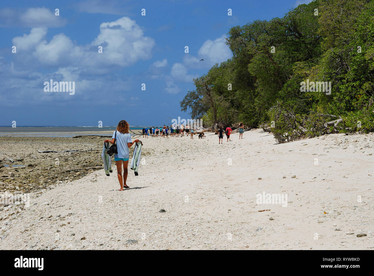 Lady Musgrave Island, Queensland, Australie. Dec 11, 2012. La Grande Barrière de Corail Banque D'Images