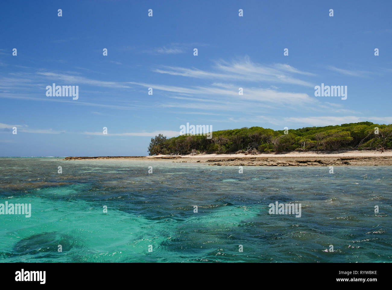 Lady Musgrave Island, Queensland, Australie. Dec 11, 2012. La Grande Barrière de Corail Banque D'Images