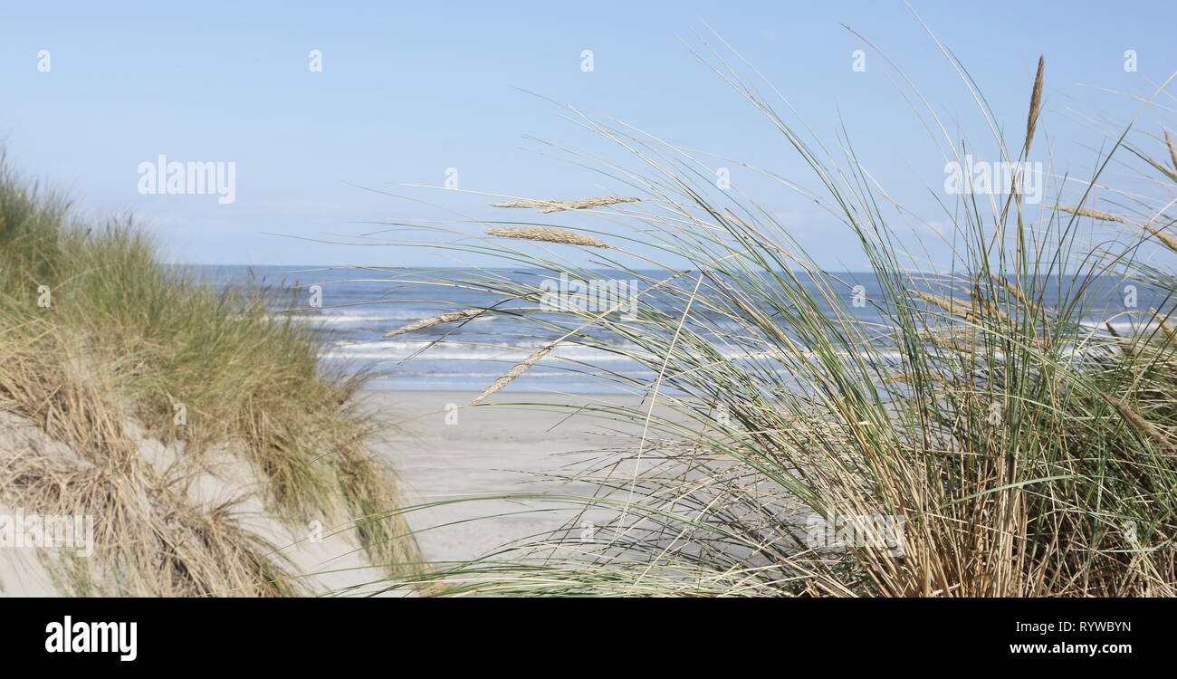 Plage de la mer du Nord. Banque D'Images