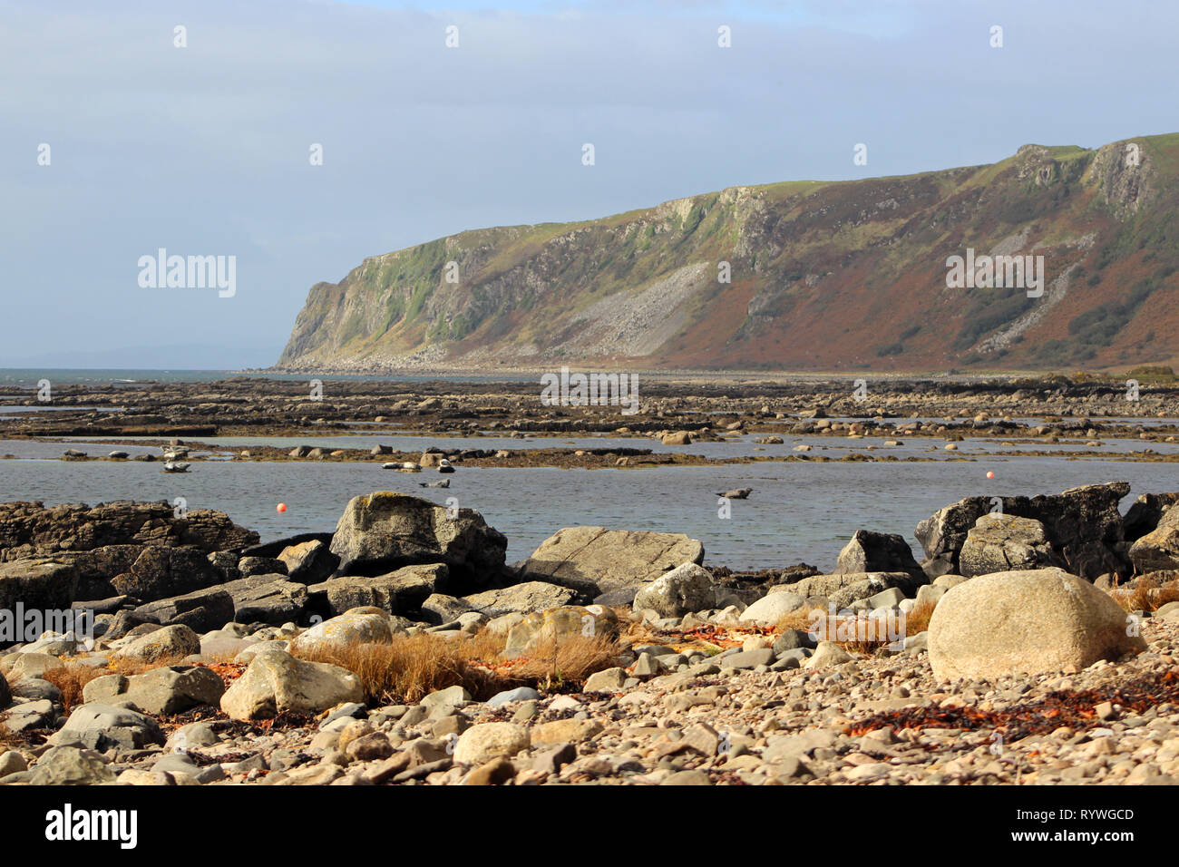 Plage de Kildonan et les phoques se prélassent sur les rochers Isle of Arran Banque D'Images
