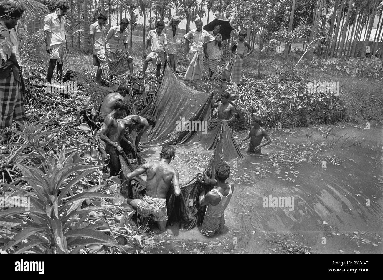 53/8 La pêche dans le tank Tajpur 1981 Banque D'Images