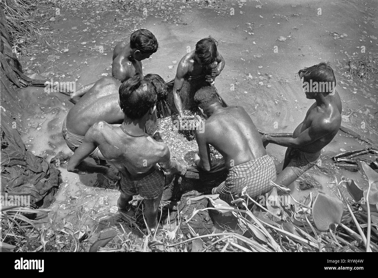 53/11 La pêche dans le réservoir Tajpur 1981 Banque D'Images