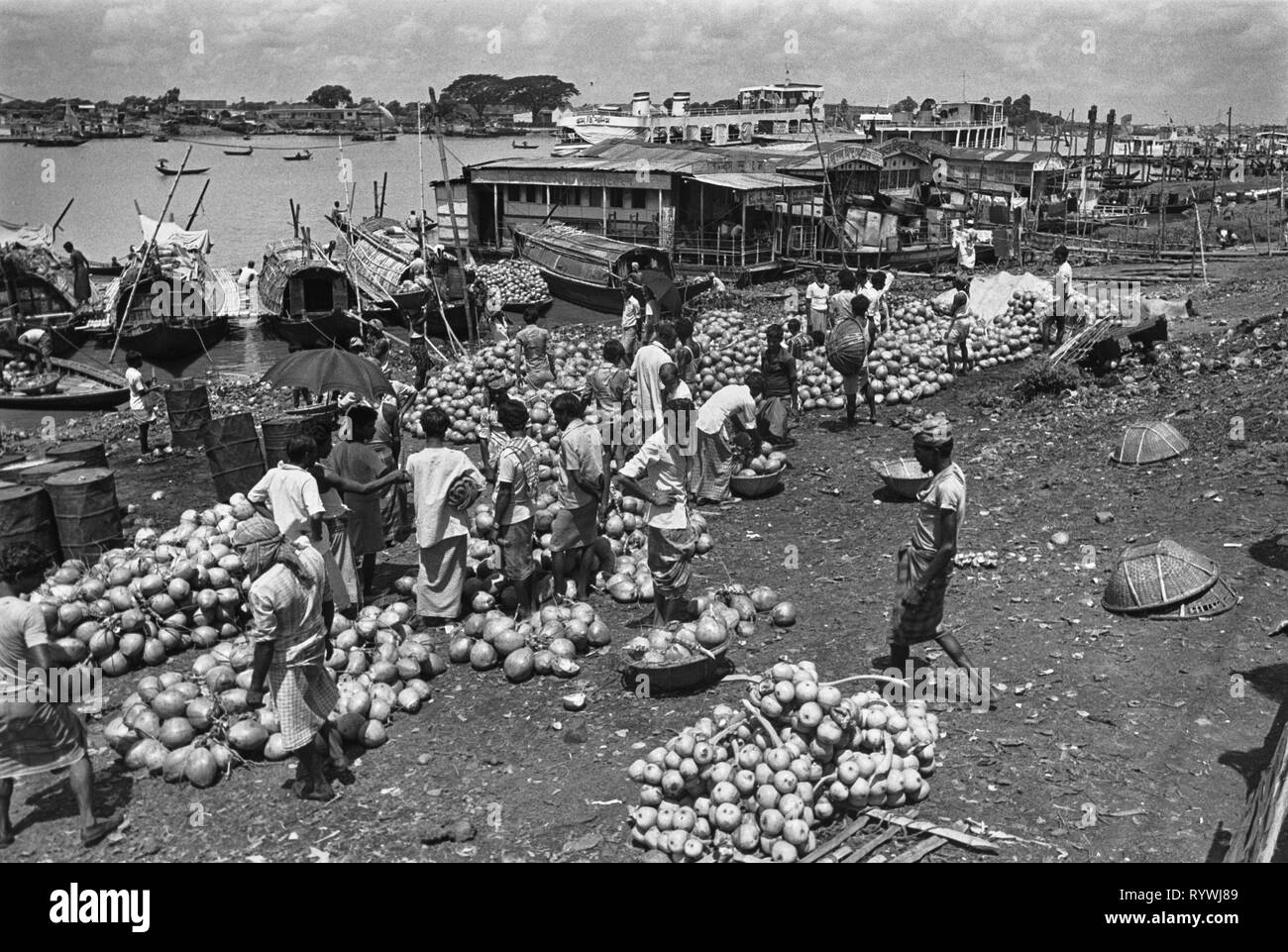 59/19 le déchargement de coco à partir de bateaux de rivière, de la rivière Buriganga Dhaka 1981 Banque D'Images