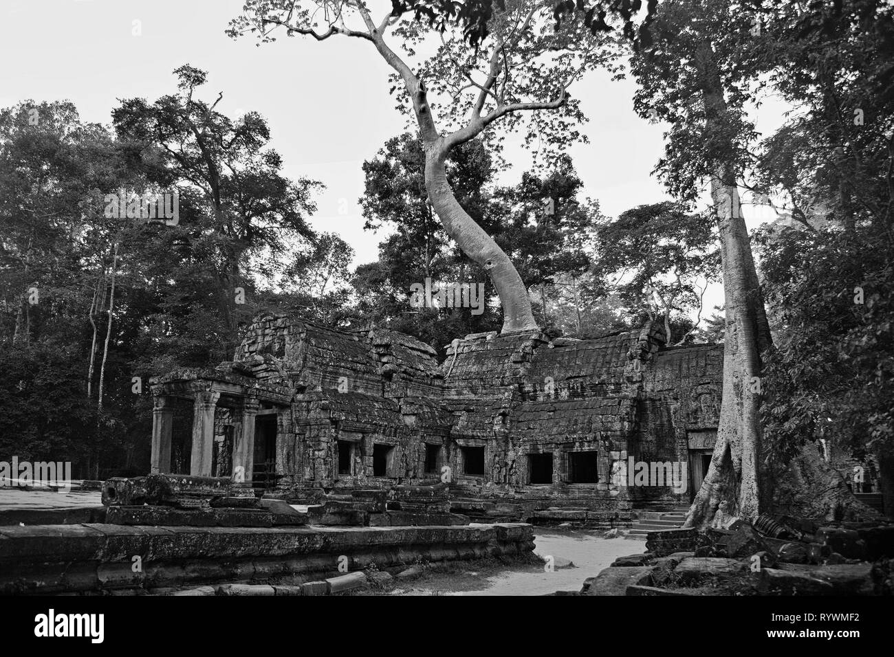 Tôt le matin, la porte d'entrée de l'Est (gopura) de l'inner temple complexe, Ta Prohm, Angkor, Siem Reap, Cambodge Banque D'Images