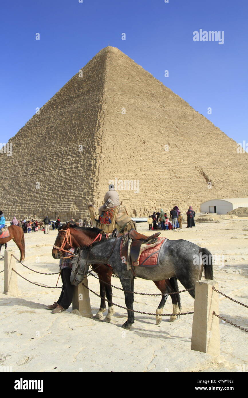 Sella les chevaux attachés et en attente de paiement de riders en face de la pyramide de Khafré, complexe Pyramide de Gizeh, Le Caire, Egypte Banque D'Images