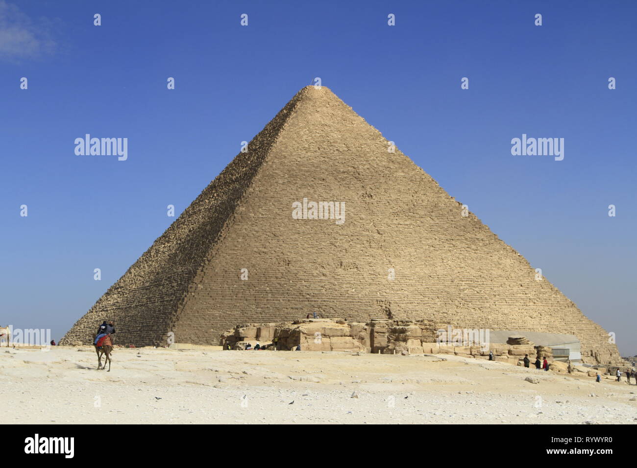 Les cavaliers de chameau au premier plan et la Grande Pyramide d'Égypte en arrière-plan, complexe Pyramide de Gizeh, Le Caire, Egypte Banque D'Images