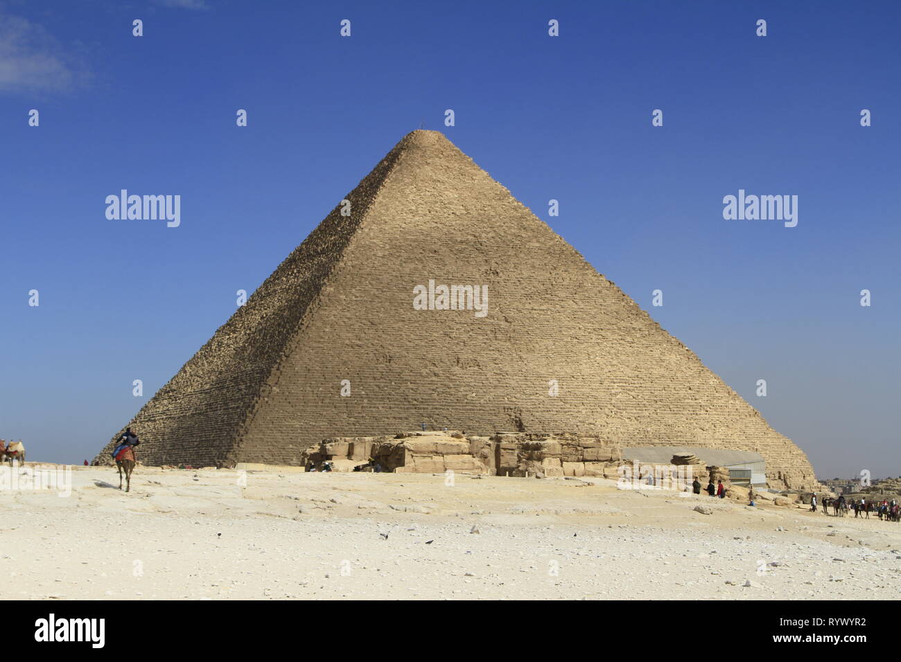 Les cavaliers de chameau au premier plan et la Grande Pyramide d'Égypte en arrière-plan, complexe Pyramide de Gizeh, Le Caire, Egypte Banque D'Images