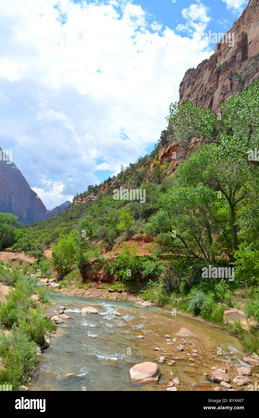 Zion National Park Utah USA Banque D'Images