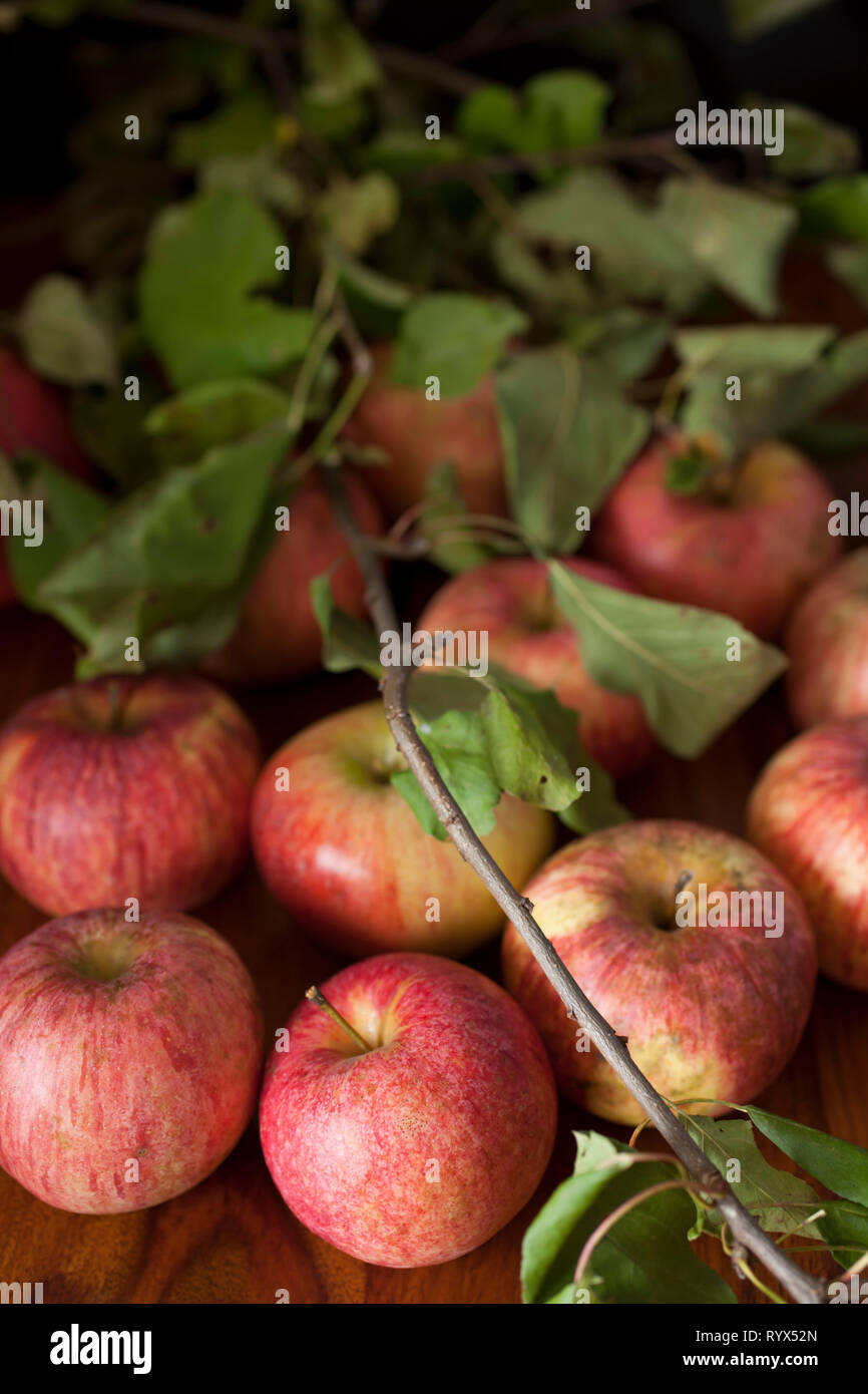 Les pommes biologiques rouge avec des feuilles Banque D'Images