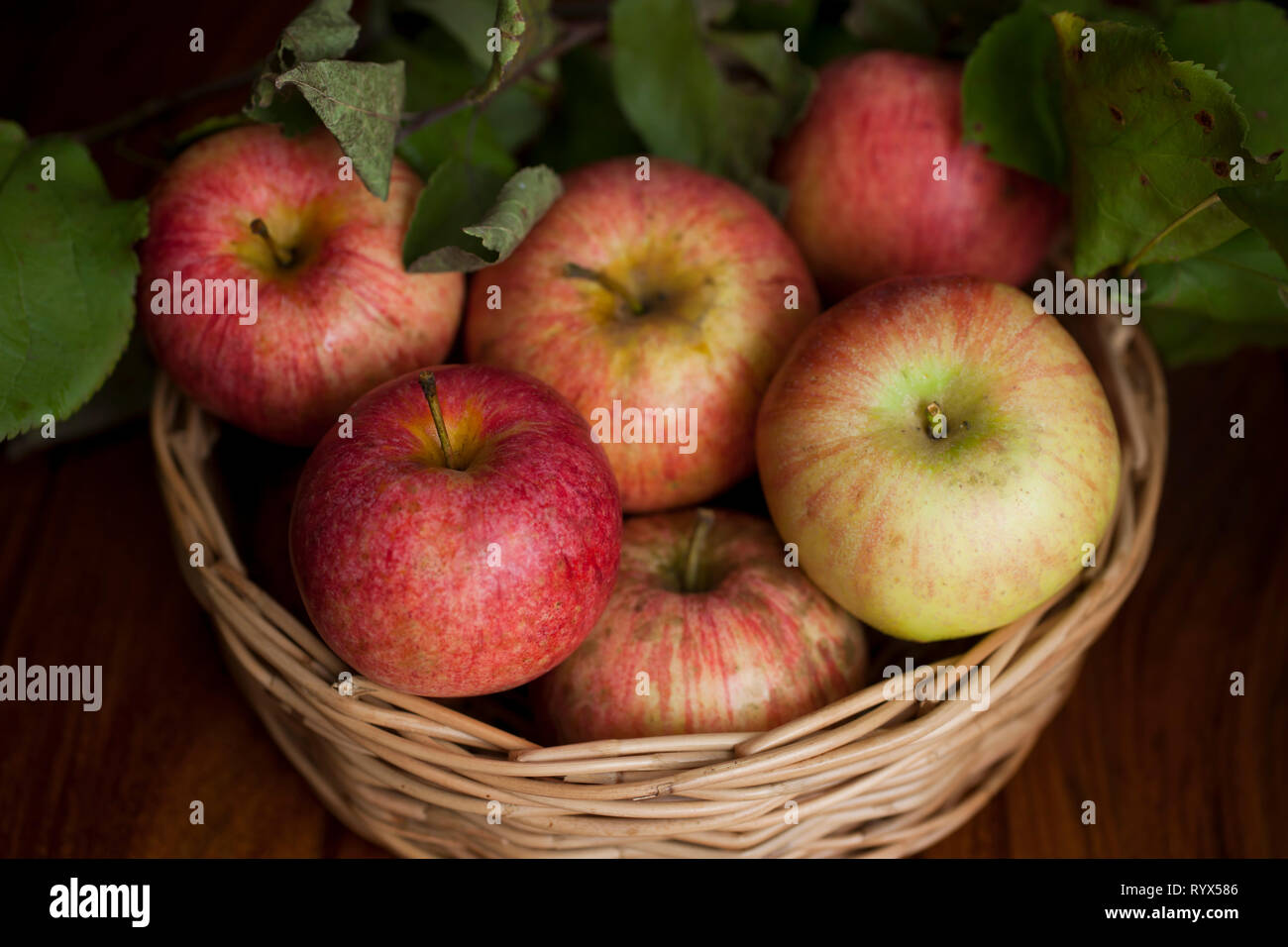 Les pommes biologiques rouge avec des feuilles Banque D'Images