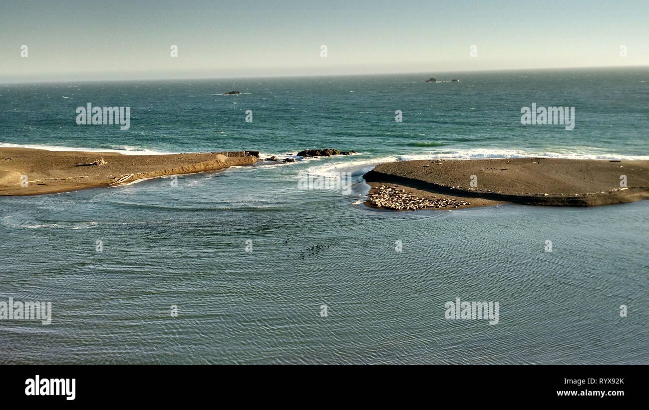 Fédération de rivière qui coule dans l'Océan pacifique, juste au nord de San Francisco, Californie, USA Banque D'Images