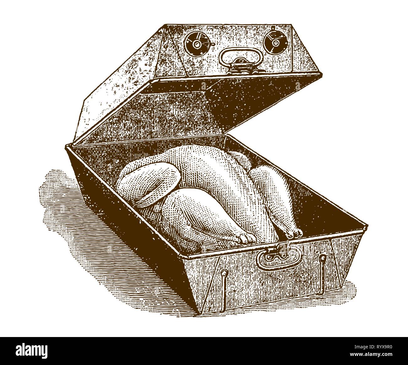 La Turquie dans un torréfacteur historique ou baker (après une gravure ou la gravure du xixe siècle) Illustration de Vecteur