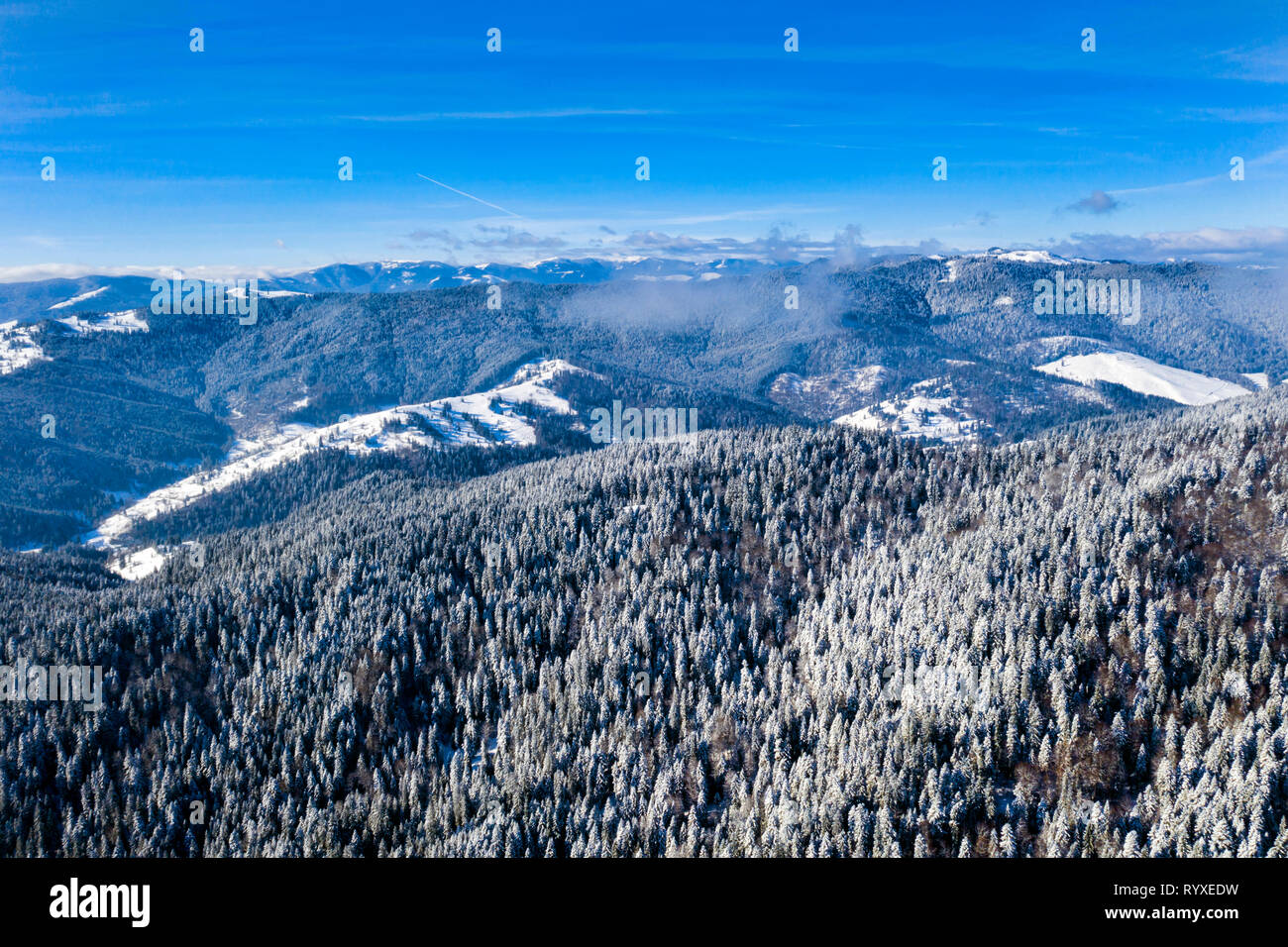 Scène aérienne avec les arbres gelés en hiver ensoleillée jour, paysage de forêt blanche Banque D'Images