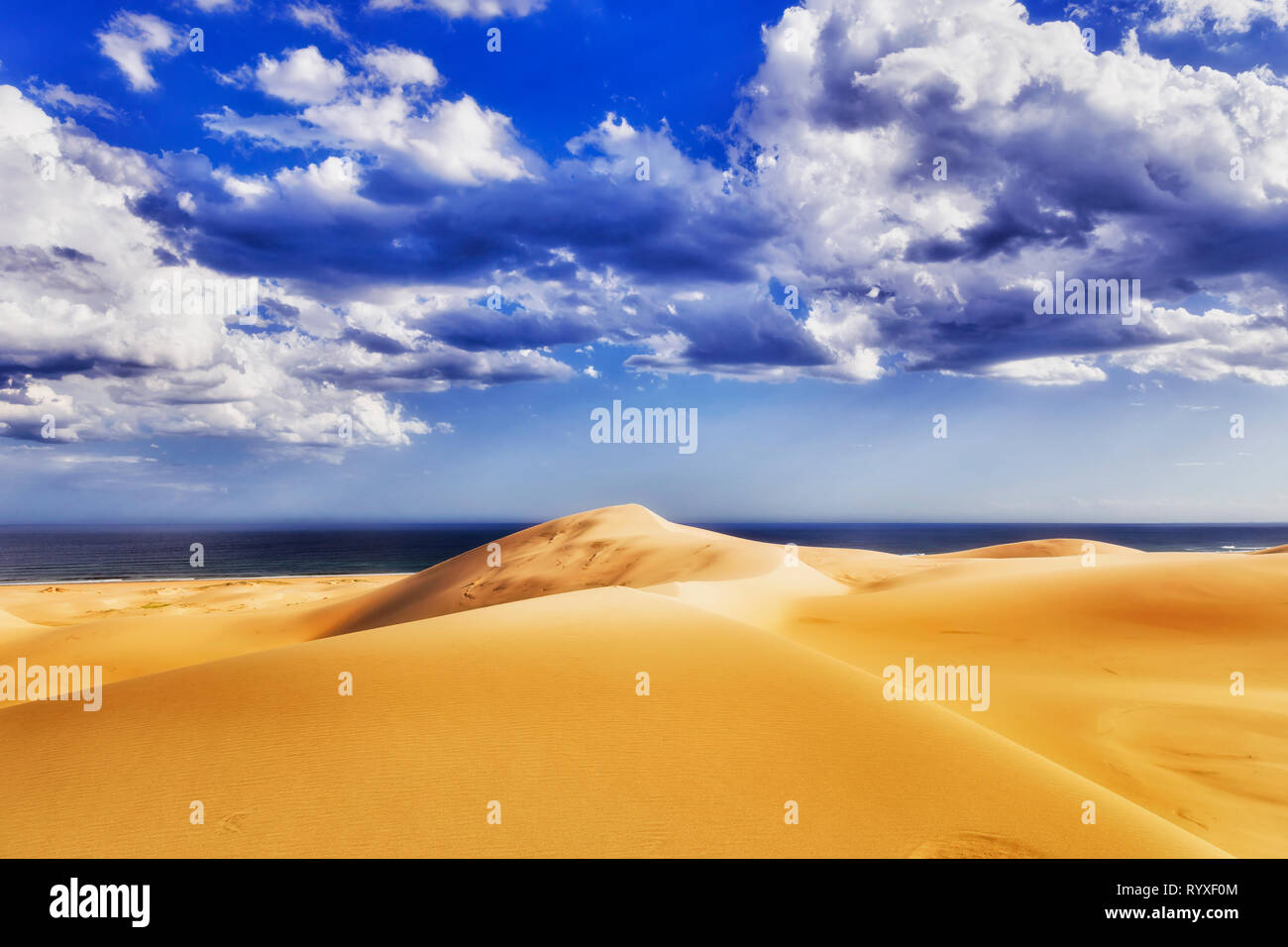 Les dunes de sable de vent intact de Stockton Beach sur la côte pacifique de l'Australie autour de Port Stephens sur une journée ensoleillée avec des nuages blancs dans le ciel bleu. Banque D'Images