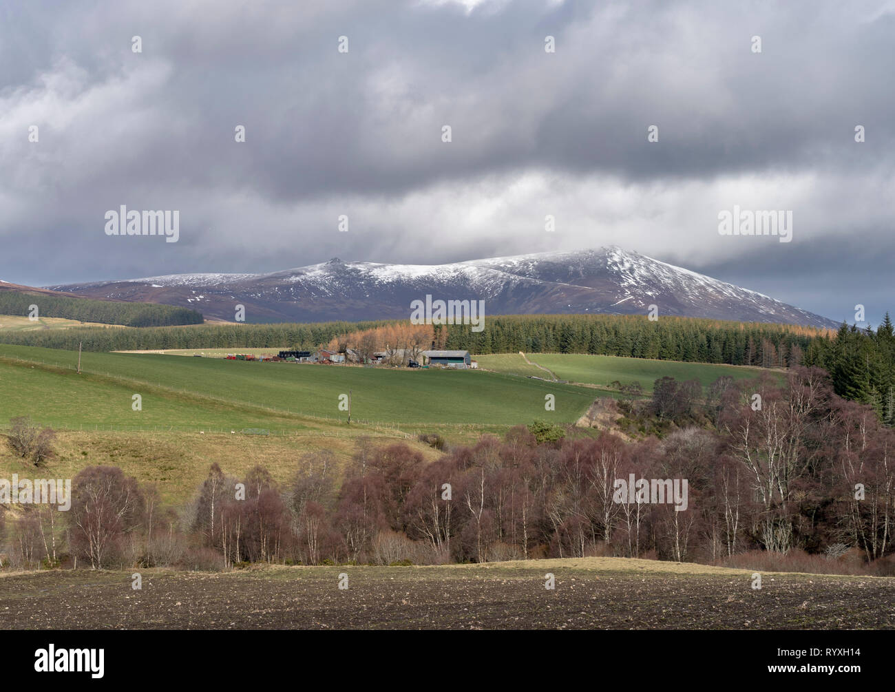 Moray, en Écosse. 15 Mar 2019. Météo France : c'est une vue de la majestueuse montagne de Ben Rinnes dans Moray, en Écosse sur la tempête Vendredi 15 mars 2019 Crédit : JASPERIMAGE/Alamy Live News Banque D'Images
