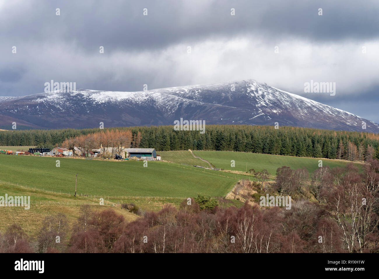Moray, en Écosse. 15 Mar 2019. Météo France : c'est une vue de la majestueuse montagne de Ben Rinnes dans Moray, en Écosse sur la tempête Vendredi 15 mars 2019 Crédit : JASPERIMAGE/Alamy Live News Banque D'Images