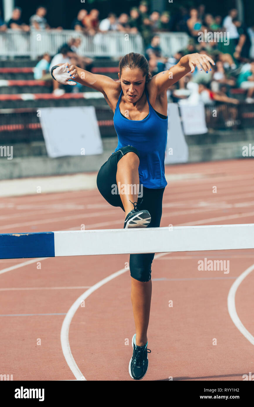 Coureur de steeple. Banque D'Images