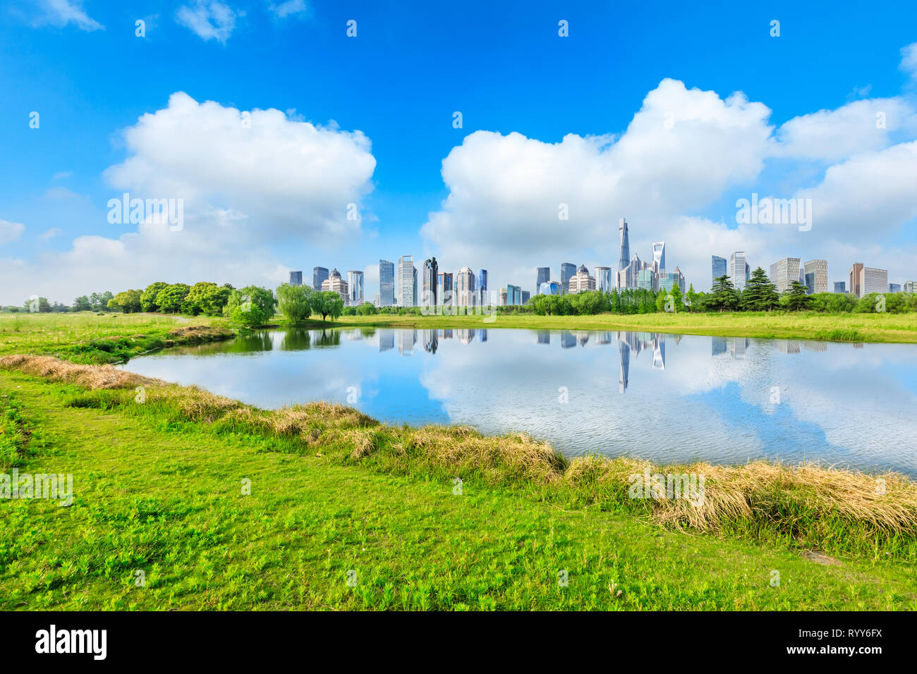 La ville de Shanghai et de l'herbe bien verte avec le lac sous le ciel bleu,Chine Banque D'Images