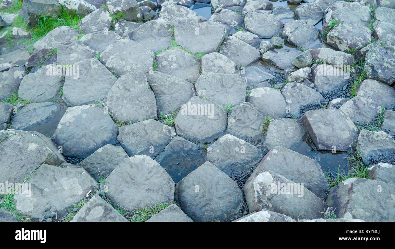 Les colonnes de basalte de roches dans la Chaussée des Géants ces roches sont les colonnes que l'on croit être de la grande éruption volcanique Banque D'Images