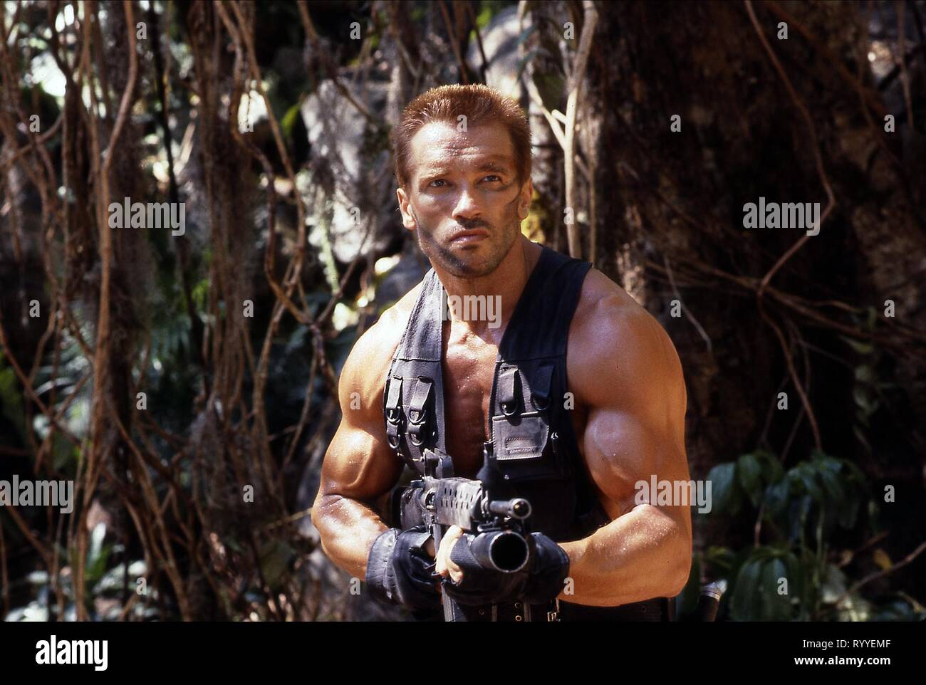 ARNOLD SCHWARZENEGGER, Predator, 1987 Banque D'Images