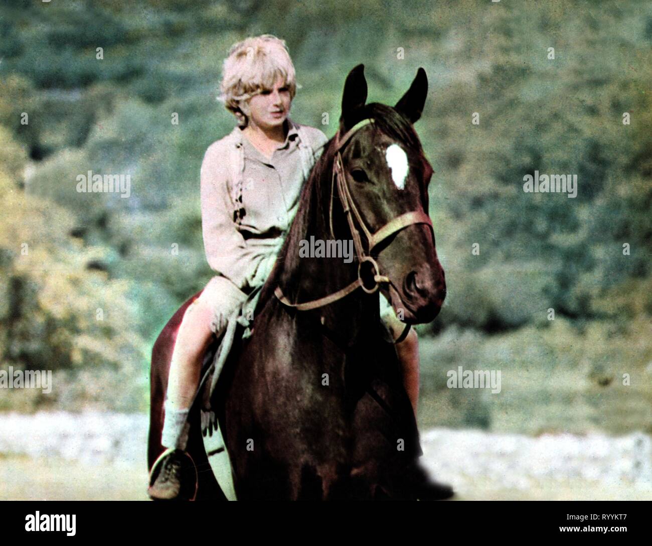 MARK LESTER, cheval, la beauté noire, 1971 Banque D'Images