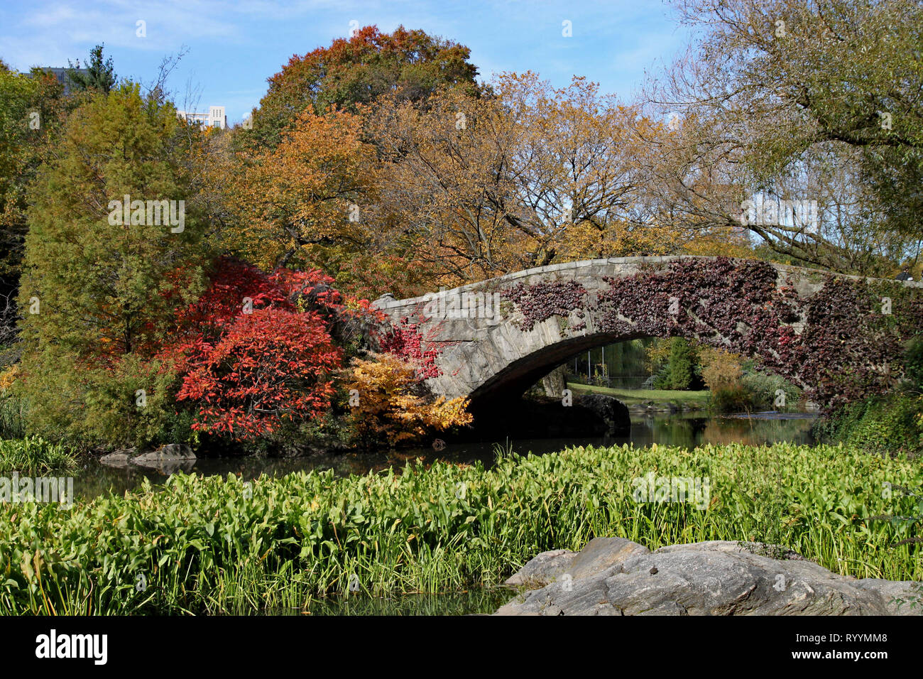 Pont dans Central Park à New York, avec des couleurs d'automne Banque D'Images