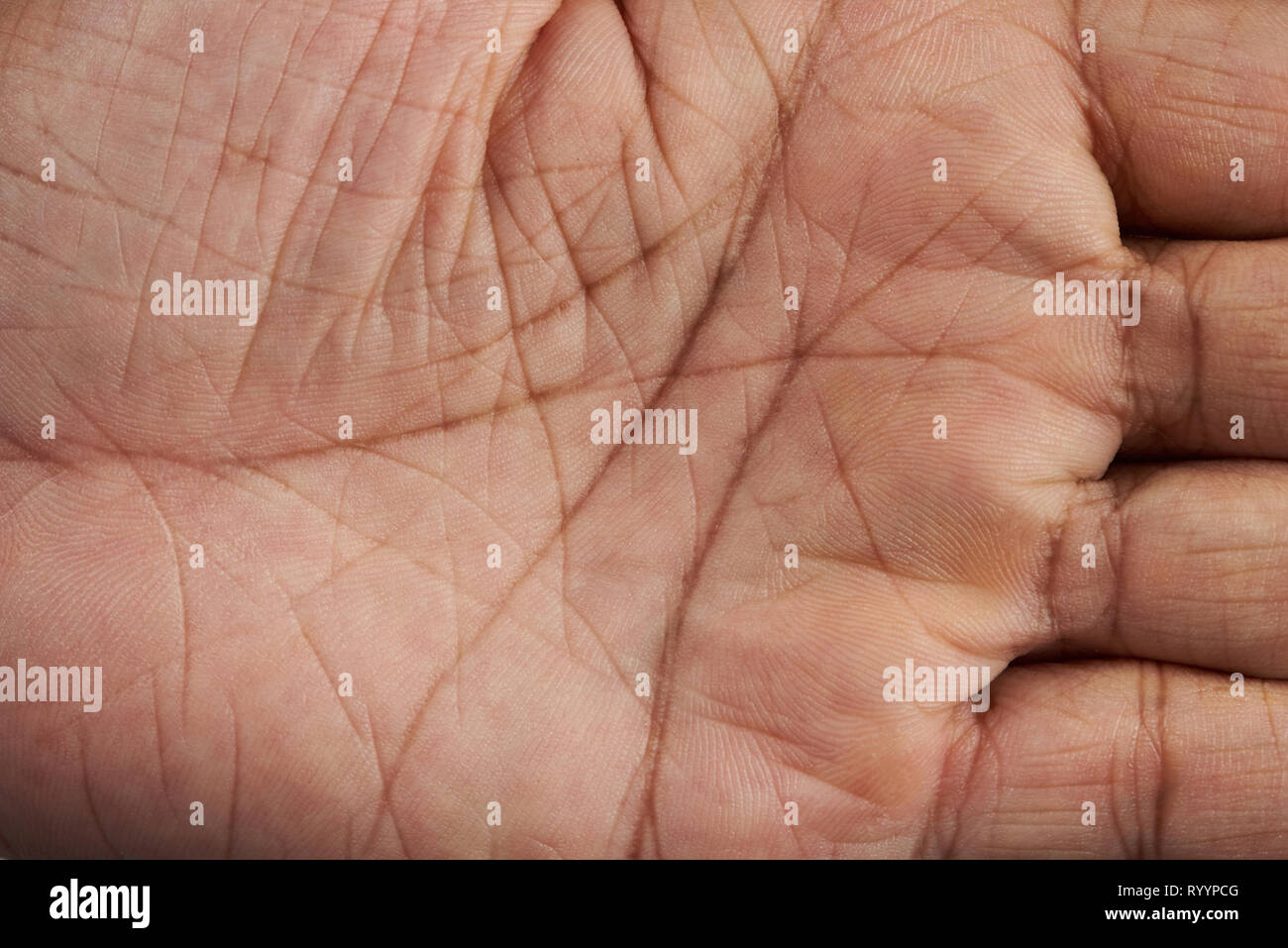 Lignes sur main humaine vue en gros palm Banque D'Images