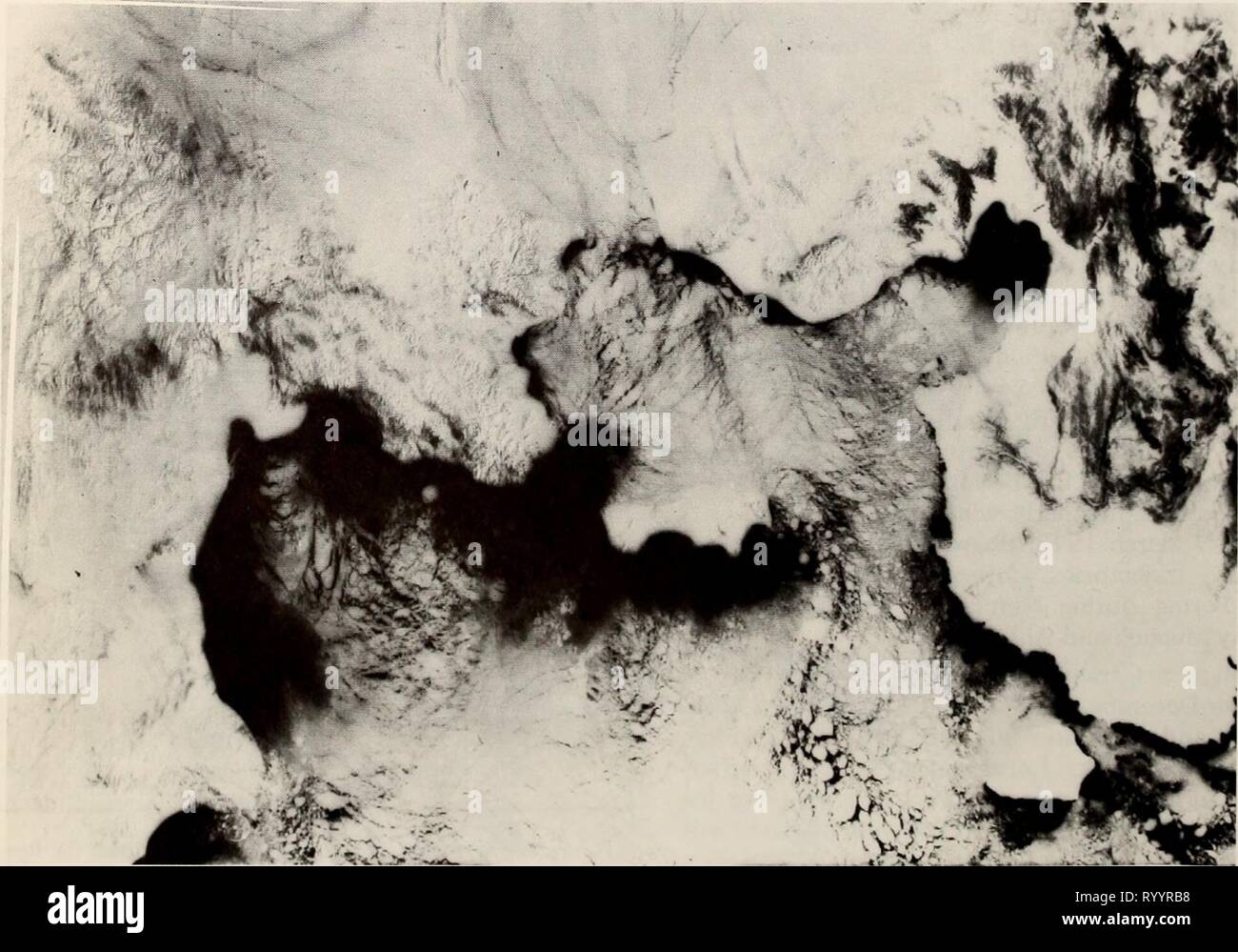 L'Est de la mer de Béring Durée de l'Est de la mer de Béring Tablette : océanographie et ressources / edited by Donald W. Hood et John A. Calder . easternberingsea00hood Année : 1981 786 L'interaction de la glace et de l'île Nunivak biote, île de Saint Matthieu, la baie de Bristol, et, dans une moindre mesure, le long d'autres moins étendu au sud- face à rives. La compression, déviés, débit et persistants sont des systèmes polynie illustré dans la Fig. 46-3. Comme Shapiro et Burns a dit (1975a), la dérive n'est pas continu vers le sud. Cependant, les épisodes de la dérive vers le nord sont rares au cours de l'hiver et au début du printemps. Quand ils le font, ice afficher Banque D'Images