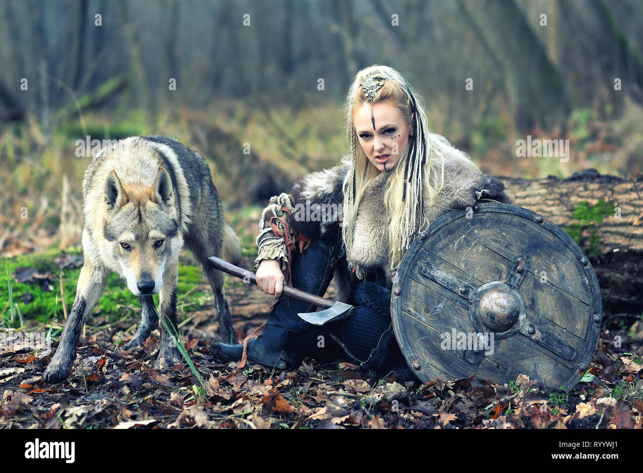 Beau guerrier viking woman warrior vêtements, avec une hache et bouclier, à côté d'un loup sauvage, prêt à l'attaque Banque D'Images