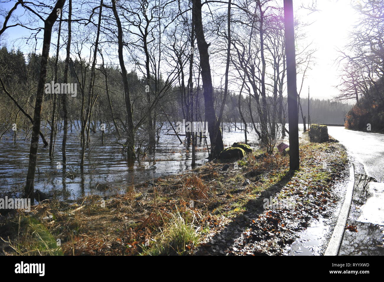 Les Trossachs, UK. 15 mars 2019. Lendemain de tempête Hannah - Scènes de Loch Achray dans les Trossachs près de la ville de Callander. Les clôtures et les arbres des champs, soit sous l'eau, ou en partie submergé. Le sol boueux est saturé avec de l'eau. Le niveau d'eau du loch est presque jusqu'à la route de la basse-terre. La rivière qui s'écoule du loch a également éclater ses banques et a inondé une partie de la ville de Callander à quelques milles de là. Crédit : Colin Fisher/Alamy Live News Banque D'Images