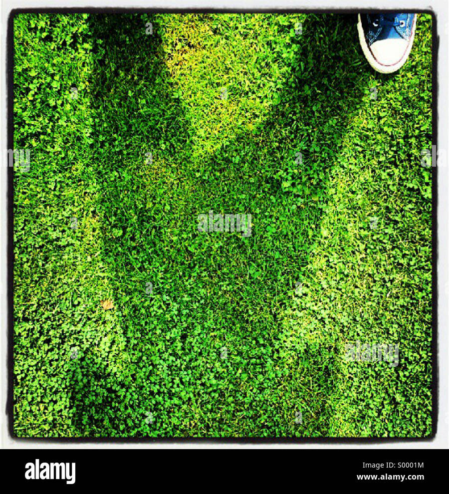 Moi (pied) et mon ombre Banque D'Images