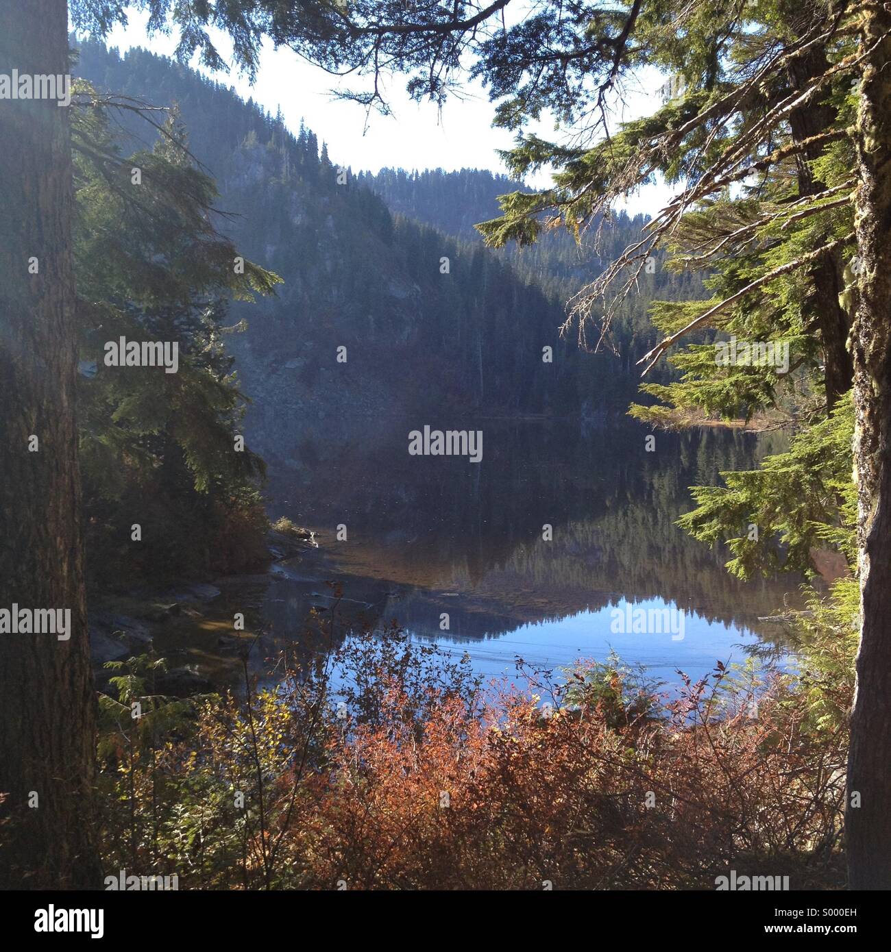 Boardman Lake, Mt. Baker-Snoqualmie National Forest Banque D'Images