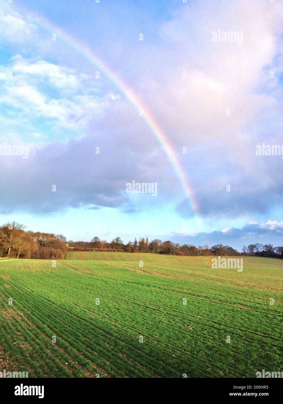 Un arc-en-ciel sur un champ dans le Hertfordshire, Angleterre Banque D'Images