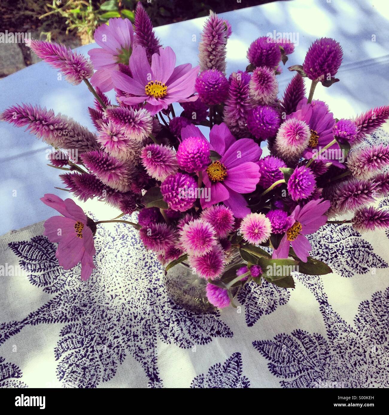 Bouquet de fleurs de mauve rustique Banque D'Images