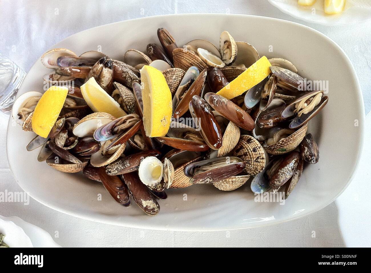 Plateau de fruits de mer Coquillages Banque D'Images