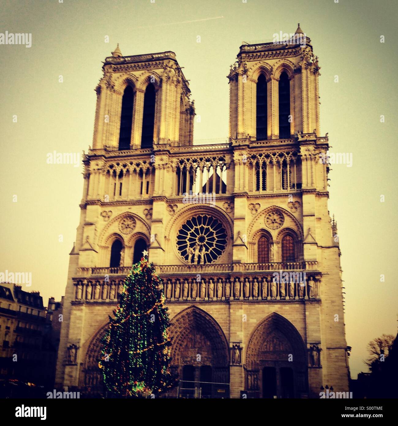 Noël à Notre Dame de Paris - Image de stock capturée avec un smartphone