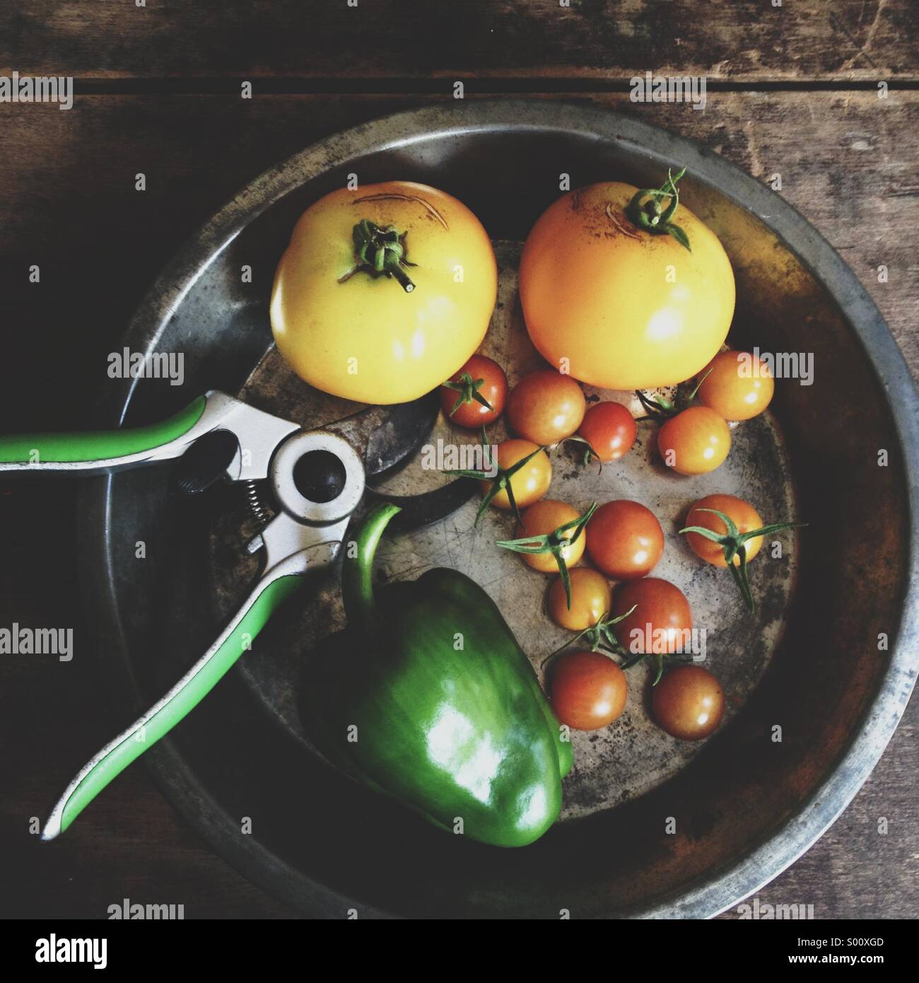 Les légumes récoltés dans un jardin urbain. Banque D'Images