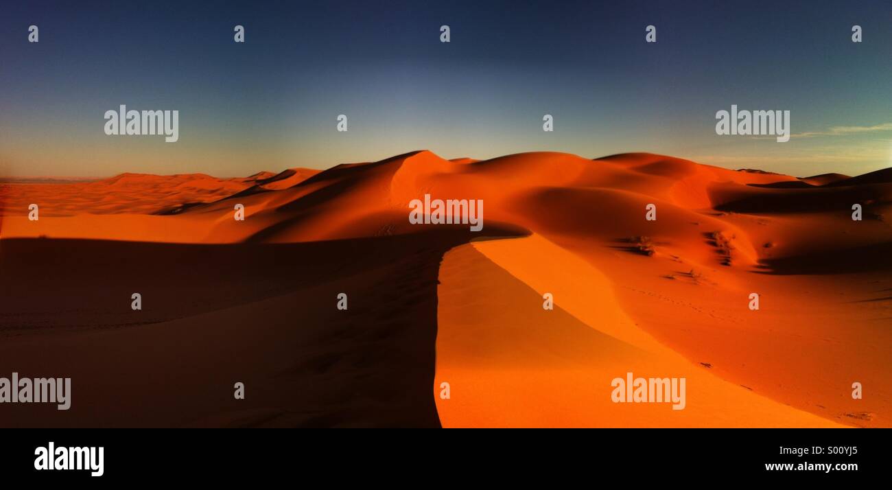 Panorama spectaculaire de dunes de sable rouge dans le Sahara, en fin d'après-midi, de longues ombres - Image de stock capturée avec un smartphone