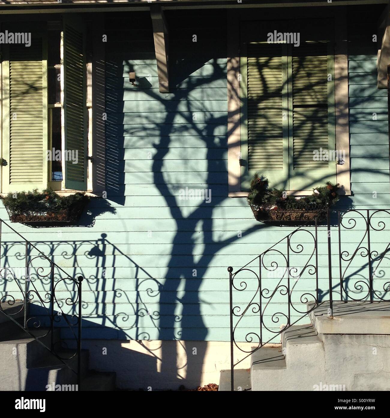 Résumé de l'ombre des arbres sur une vieille maison de la Nouvelle Orléans. Banque D'Images