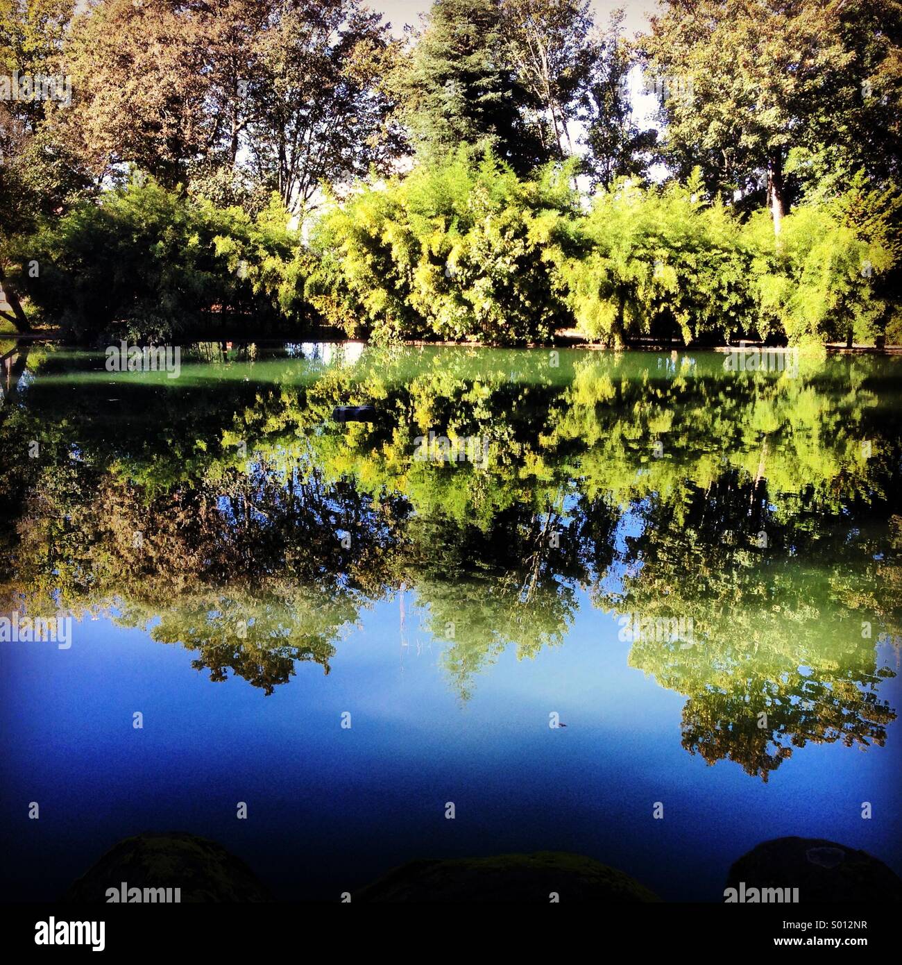 Lac miroir - Image de stock capturée avec un smartphone