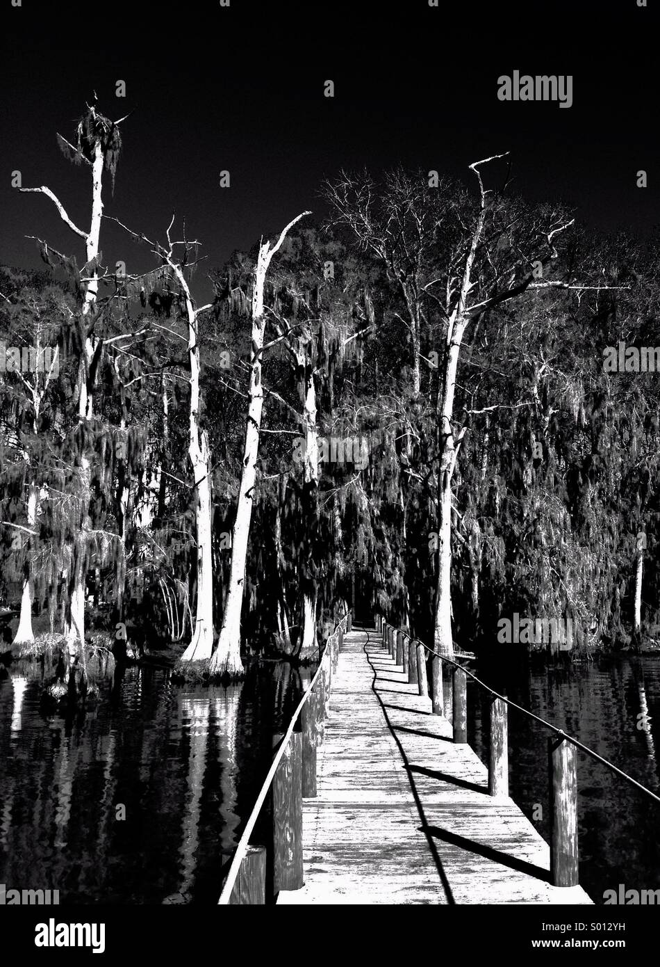 St. John's River, en Floride Banque D'Images