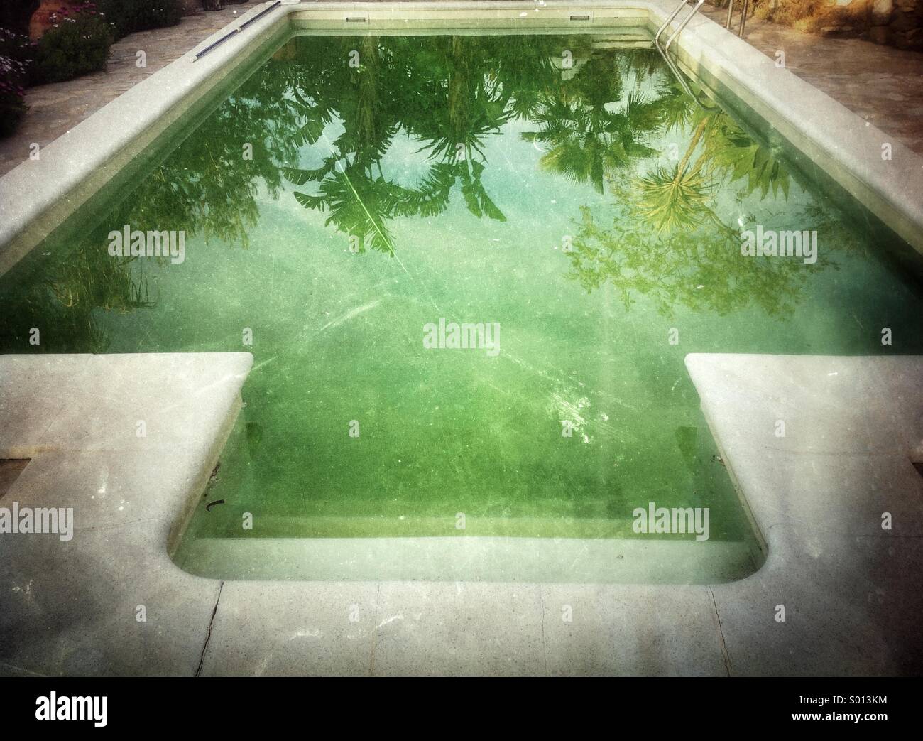 Piscine verte avec végétation luxuriante reflétant dans l'eau. Banque D'Images