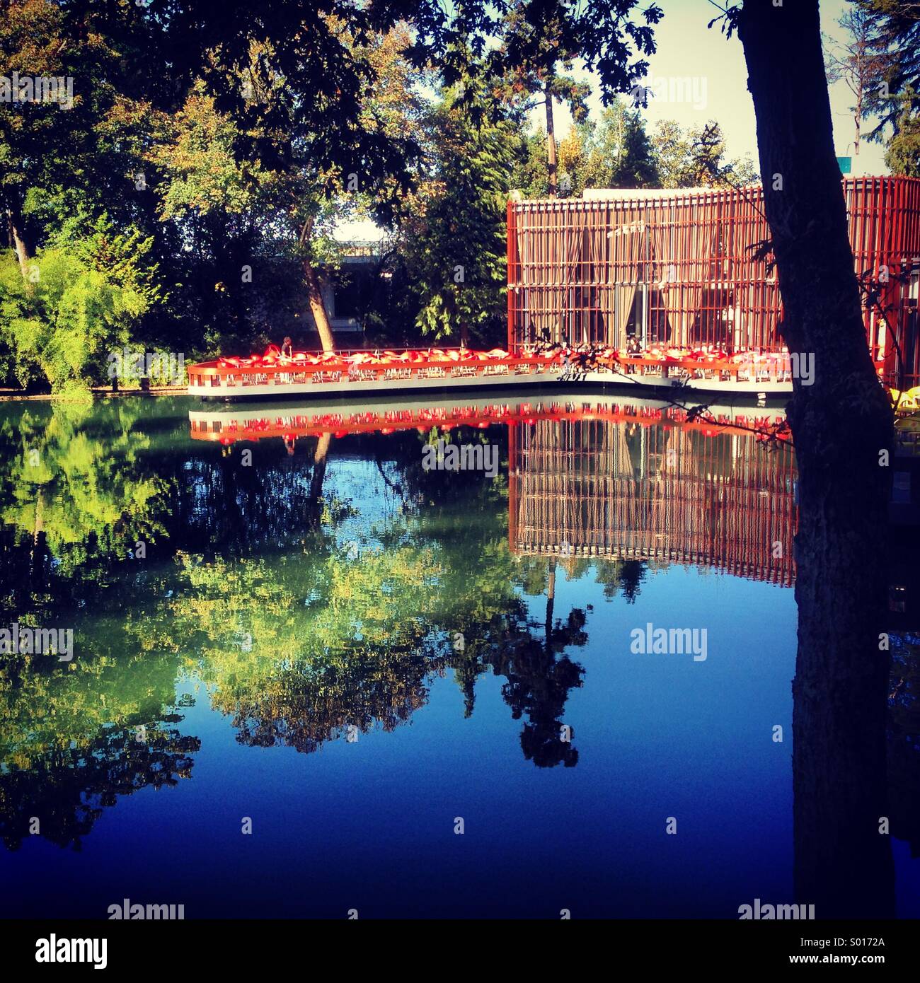 Café, Parc, lac - Image de stock capturée avec un smartphone