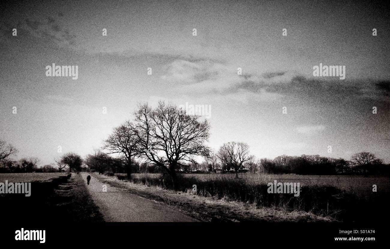 Seule figure sur chemin de pays - Image de stock capturée avec un smartphone