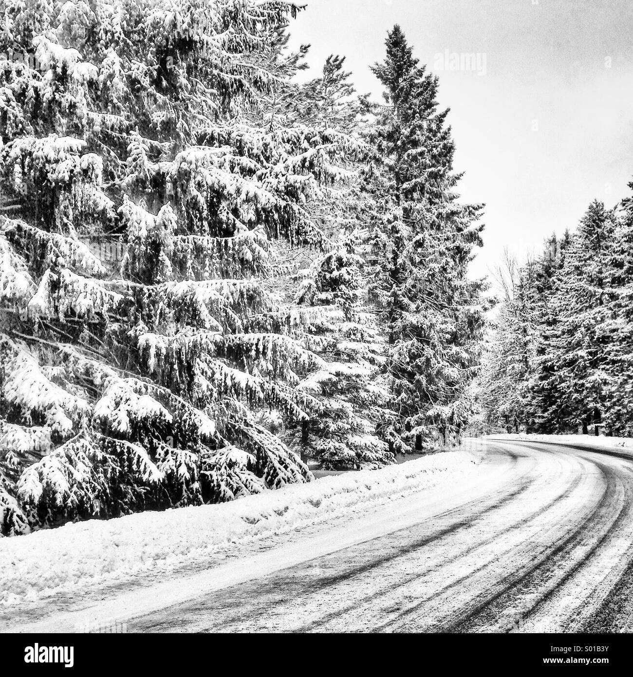 La conduite dans une tempête de neige, Toronto, Ontario. Canada Banque D'Images