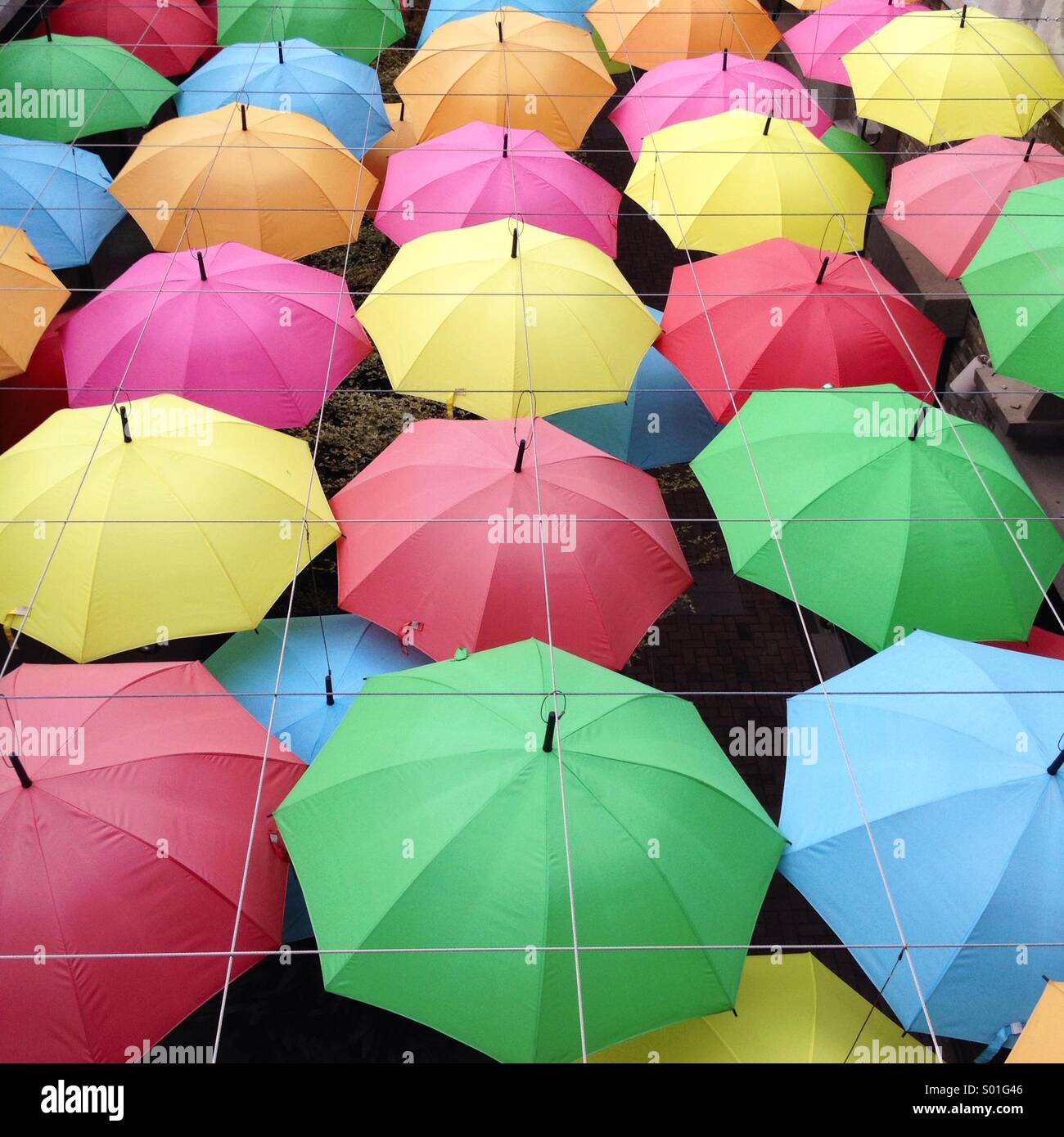 Parasols colorés Banque D'Images