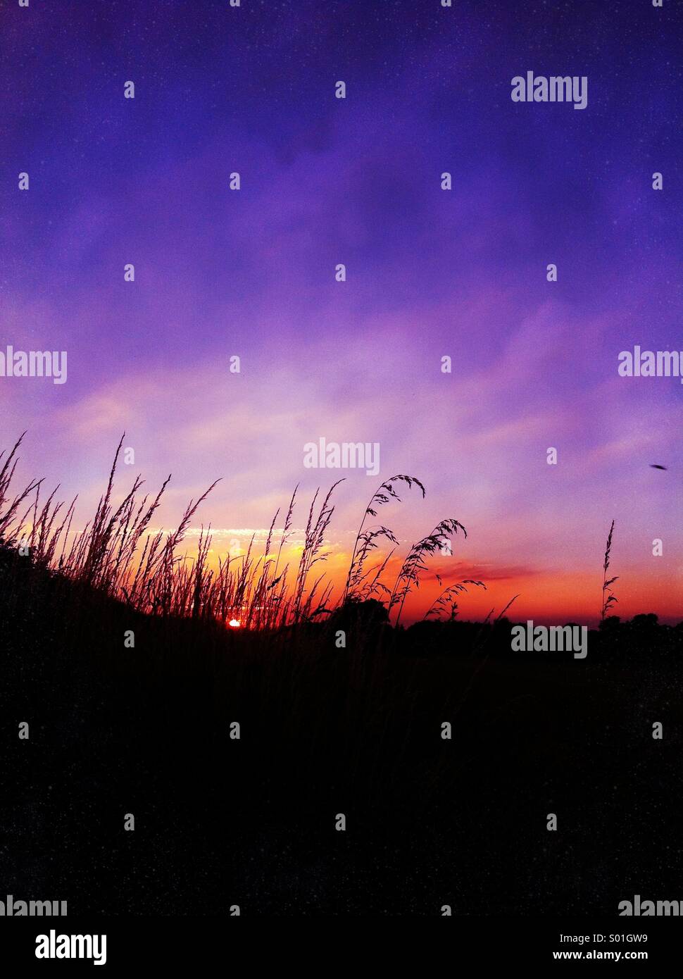 Ciel coucher soleil violet Banque D'Images